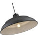 R Series 1 Light 20 inch Satin Black Outdoor Pendant